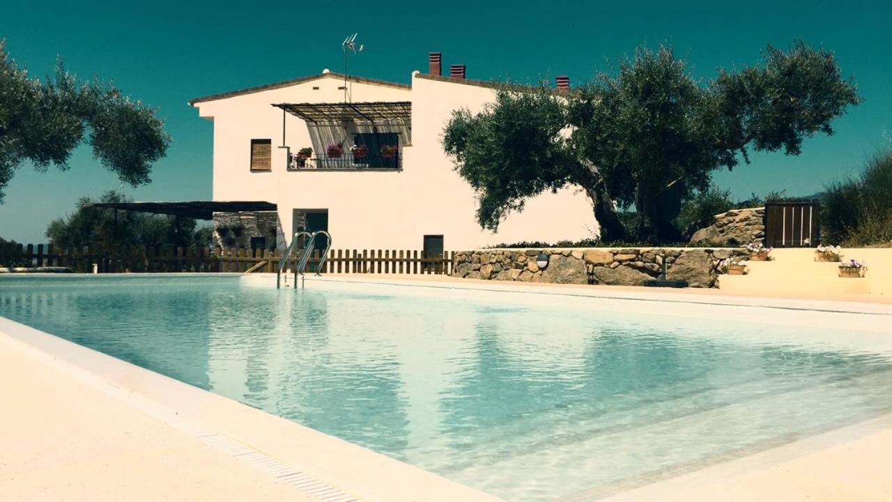 Flores Amarillas B&B Almoharin Eksteriør billede